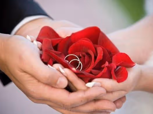 婆婆，你生了二胎還想讓我給你養，你可真不要臉！