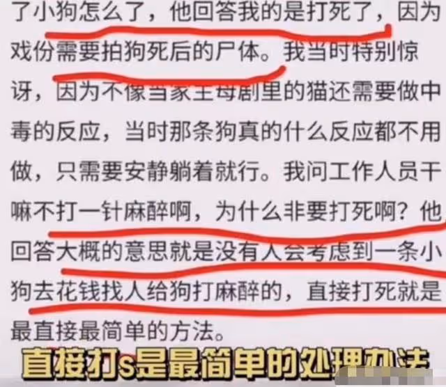 張智霖吳鎮宇推兒子出道?於正再被爆虐狗?留守男背後有大師指點