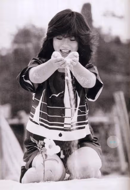 80年代日本少女明星怎麼那麼美好
