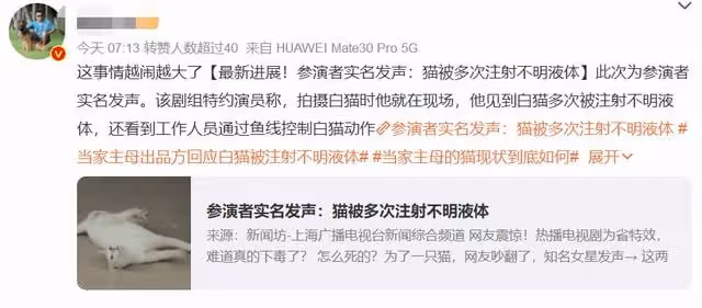 當家主母貓咪事件升級，於正要涼了？網友：陸遊看見了該多傷心