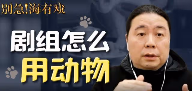 當家主母貓咪事件升級，於正要涼了？網友：陸遊看見了該多傷心