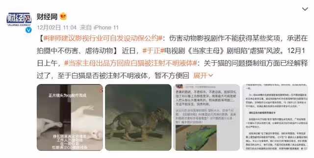 當家主母貓咪事件升級，於正要涼了？網友：陸遊看見了該多傷心