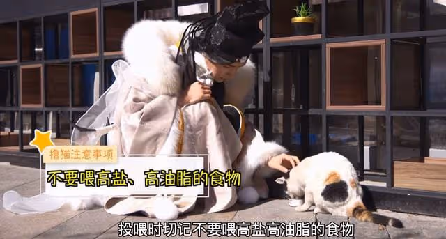 當家主母貓咪事件升級，於正要涼了？網友：陸遊看見了該多傷心