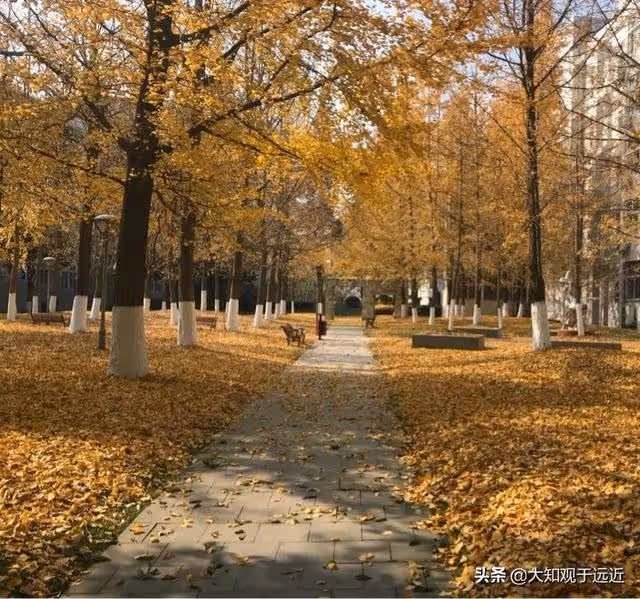 揭秘「婚姻三重奏」失敗案例之三：李湘與王岳倫