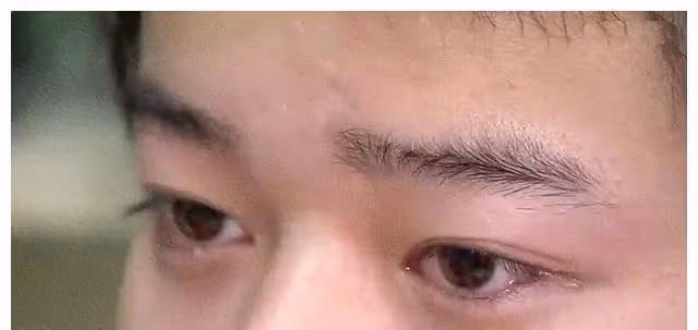 親情：他渴望親情，但養父和親生父親都不接受他，帶著一家去流浪