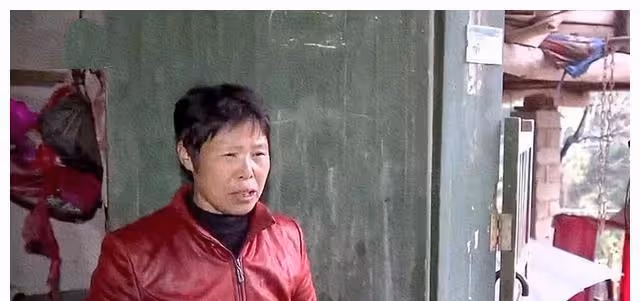 親情：他渴望親情，但養父和親生父親都不接受他，帶著一家去流浪