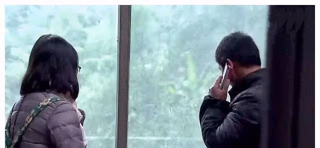 親情：他渴望親情，但養父和親生父親都不接受他，帶著一家去流浪