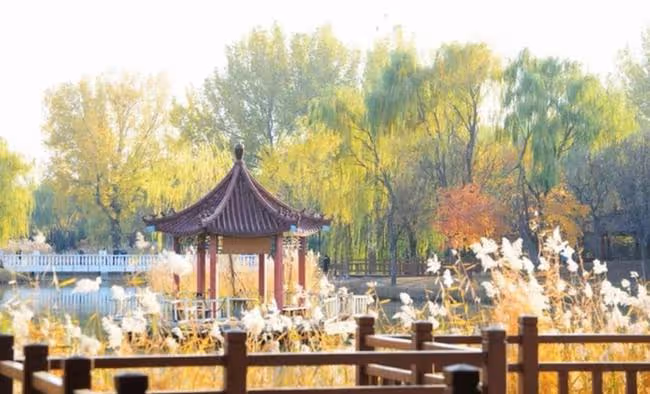 親密關係，是彼此自尊的維護