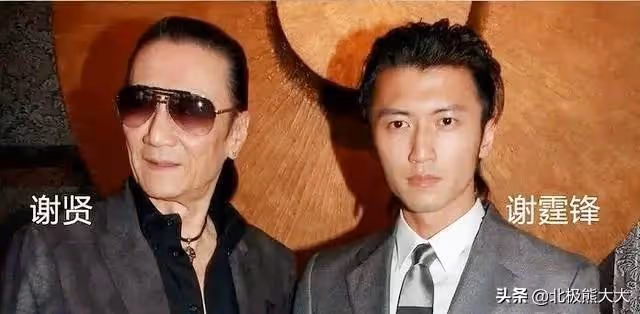 「二世祖之光」謝霆鋒娛圈歷險記:以前被看不起,現在高攀不起