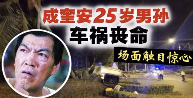 「大傻」成奎安的家庭悲劇：三兄弟同一年去世，25歲孫子車禍身亡