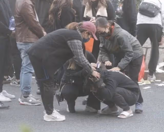 「大傻」成奎安的家庭悲劇：三兄弟同一年去世，25歲孫子車禍身亡