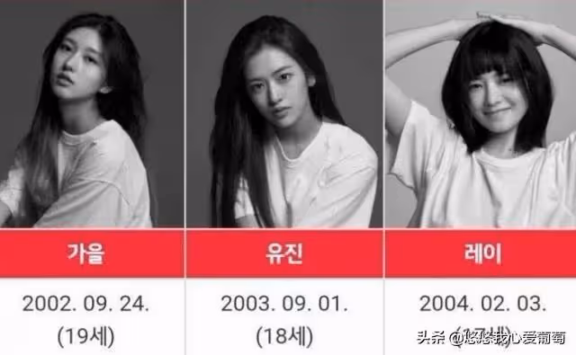 韓國女團舞蹈動作盡顯不雅，趴地咬手指令人不適，最小年齡僅14歲