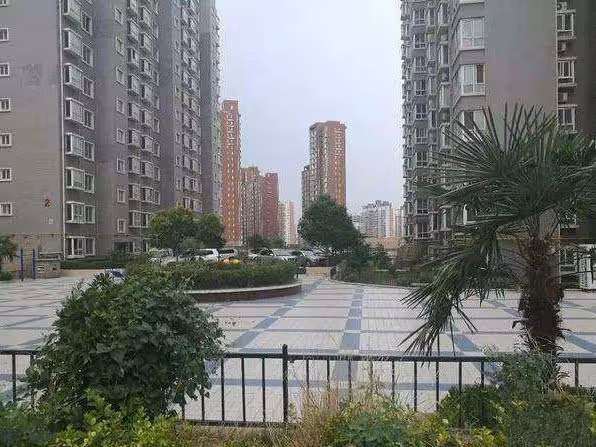 弟弟患病，我偷偷賣了婚前房給弟弟治病，老公卻跟我鬧離婚