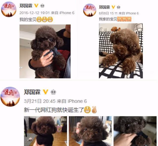 每一個都是「回憶殺」,細數幾位突然消失的演員,第一個最可惜