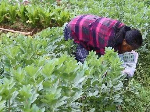 母親幹活摔傷了腿，弟妹卻惦記著拆遷款，我給了弟妹一巴掌