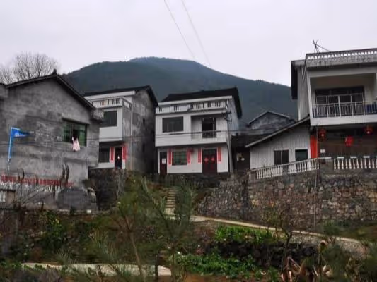 我打工掙了18萬，悄悄回家給老婆驚喜，結果在山上發現受傷的老婆