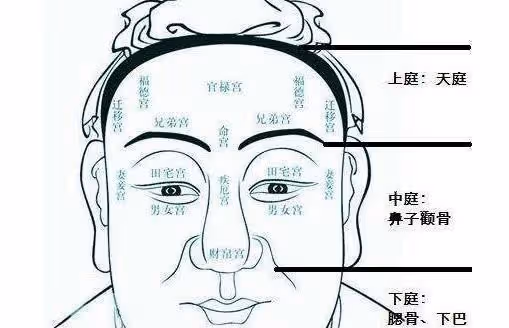 「男看鼻子女看嘴，一生富貴少是非」，老祖宗看人經驗有道理嗎？