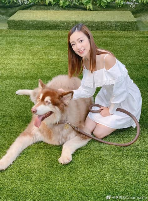 恭喜！TVB離巢夫婦合體慶祝結婚十周年，小十歲妻子露背禮服出鏡