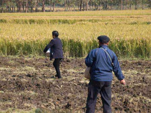 老婆去世後岳母攆我走，三年後我再婚，婚禮當天小舅子給我50萬