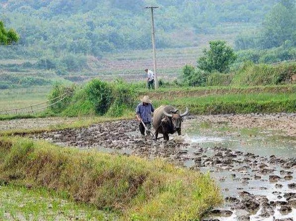 侄女滿月我給三萬，半月後侄女住院我又給八萬，哥嫂把侄女送給我