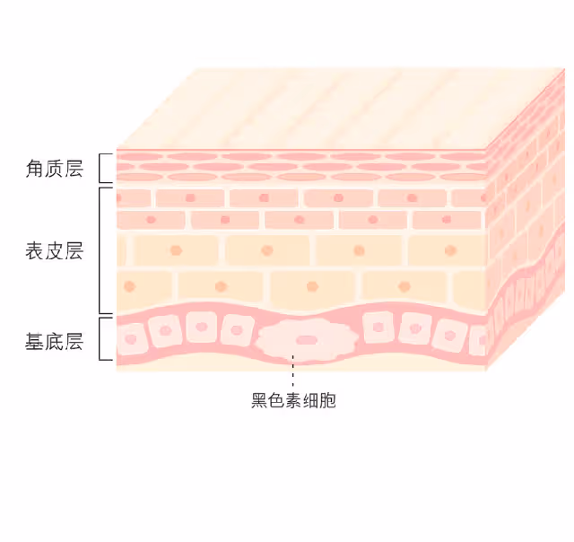 這對離婚夫婦真太不經扒了!