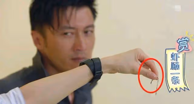 誰是兇手照片牆信息量太大?秦嵐碾壓何超蓮?謝霆鋒自作多情了?