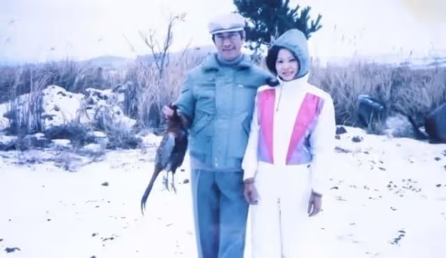 當年,陳婉珍能嫁給何鴻燊,最該感謝的是黎婉華,還是藍瓊纓?