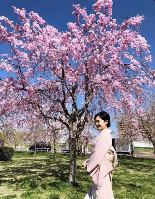 日本迷途知返蒼井空——蒼天開眼而「背井離鄉」後又頓悟色即是空