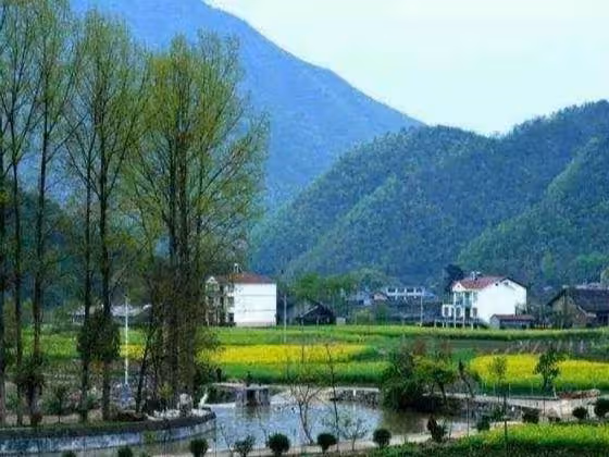 兒子當上門女婿五年未歸，母親找到兒媳，才知兒子四年前出了車禍