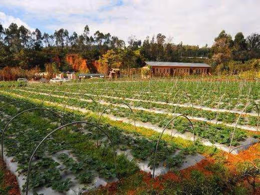 小舅子生病，岳母上門借八萬，老婆一分不給，我悄悄給了十萬