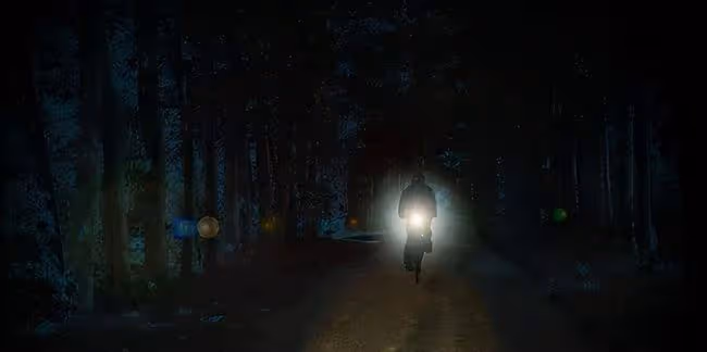 午夜我見到個街上慘叫的女孩，沒過多久，她神秘地失蹤了