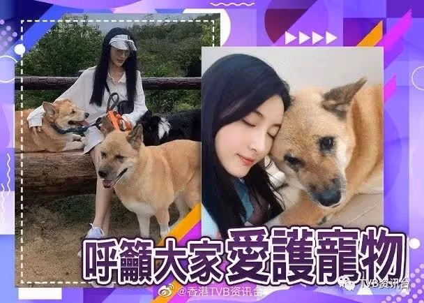林夏薇有望拿下今年視後?陳瀅張曦雯性感婚紗look斗靚