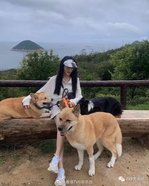 林夏薇有望拿下今年視後?陳瀅張曦雯性感婚紗look斗靚