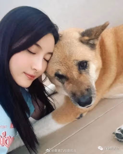 林夏薇有望拿下今年視後?陳瀅張曦雯性感婚紗look斗靚