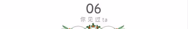 出差和老公視頻，發現一瓶陌生的水乳，同事說：沒有不偷腥的貓