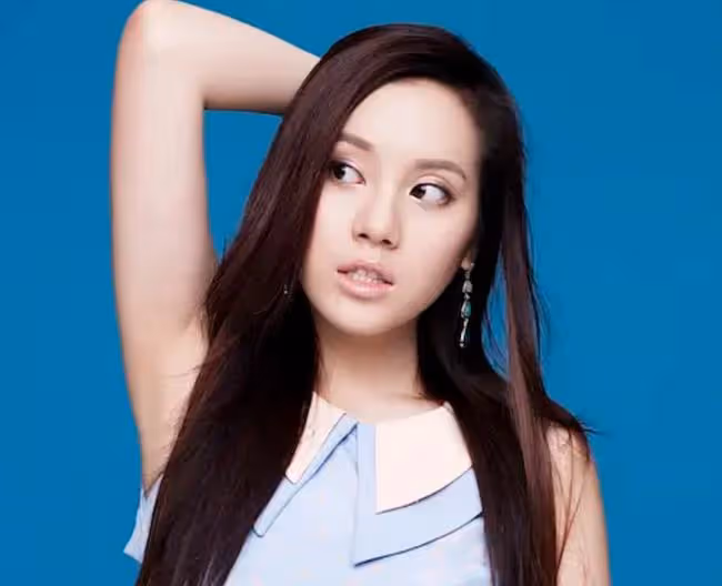 甄子丹小姨子宣布產女!曾當童星與李連杰合作,已嫁入豪門2年