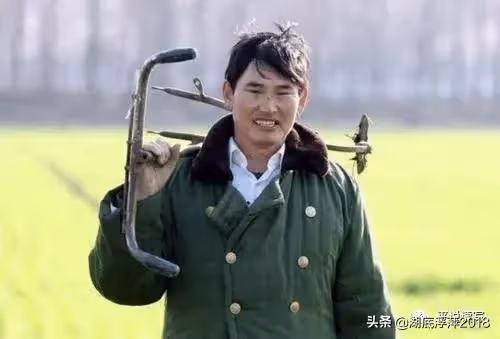 被過度消費的「大衣哥」