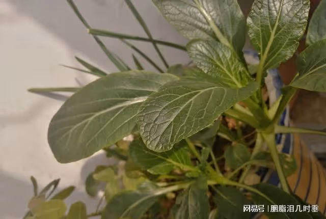 願我們餘生都可貴，不會再錯過專屬自己的人生美好