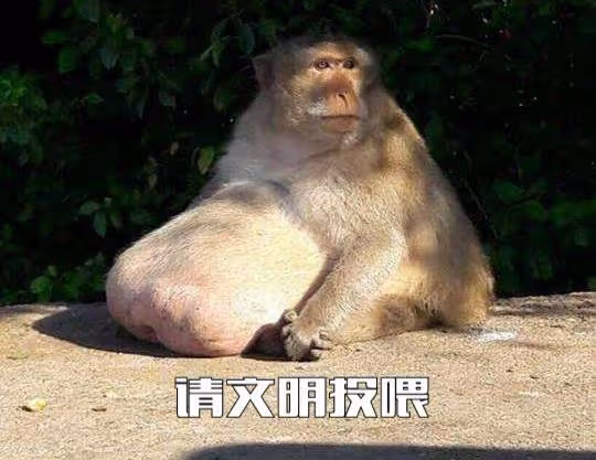 從泡泡龍到胖猴子,無底線吃播是時候該結束了,你說呢?