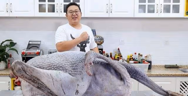 從泡泡龍到胖猴子,無底線吃播是時候該結束了,你說呢?