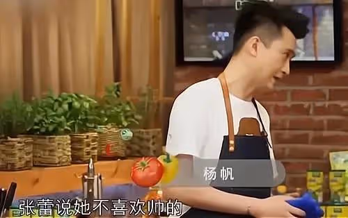 央視主持張蕾:被楊帆暗戀多年,有緣無分,嫁普通生意人生一子
