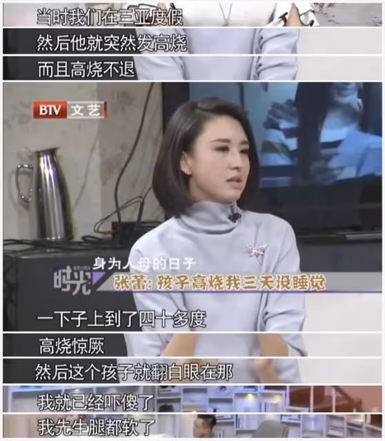 央視主持張蕾:被楊帆暗戀多年,有緣無分,嫁普通生意人生一子