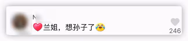 63歲張蘭思孫心切,曬與孫子合照憶過往滿臉笑,被喊話去爭撫養權