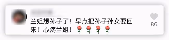 63歲張蘭思孫心切,曬與孫子合照憶過往滿臉笑,被喊話去爭撫養權
