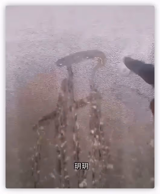 63歲張蘭思孫心切,曬與孫子合照憶過往滿臉笑,被喊話去爭撫養權