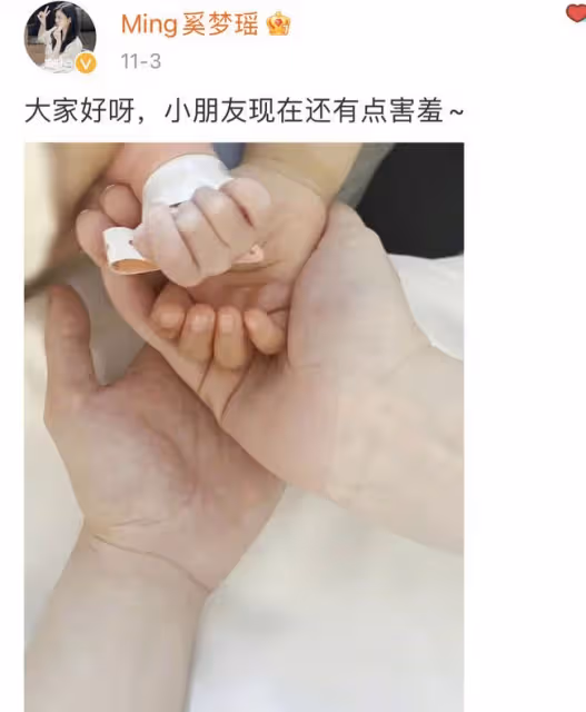 61歲賭王四太罕露面,疑似移居上海與何猷君同住,懷抱倆孫笑容甜