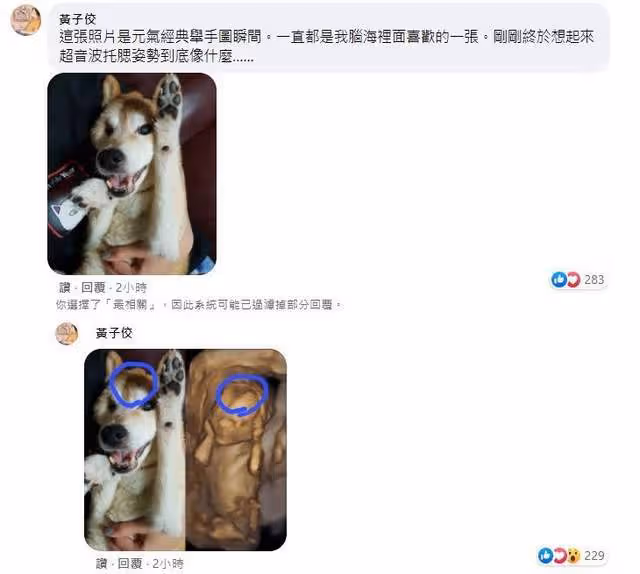 49歲男星首次當爸顯焦慮,看寶寶B超照淚崩,2特徵神似其去世愛犬