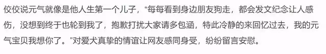 49歲男星首次當爸顯焦慮,看寶寶B超照淚崩,2特徵神似其去世愛犬