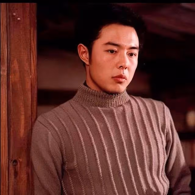 他們是八十年代英俊帥氣的男演員,你還記得他們嗎?(一)