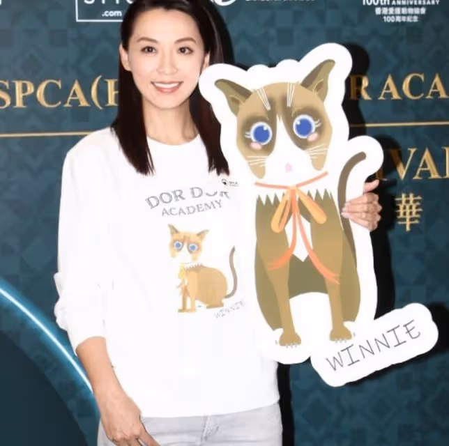恭喜!48歲陳煒宣布明年4月辦婚禮,不介意小5歲男友曾結婚生娃